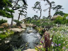 -罗红摄影艺术馆