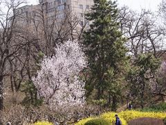 景点-元大都城垣遗址公园