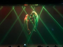 -芜湖新华联大白鲸海洋公园