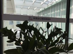 -东莞台心医院-医疗美容