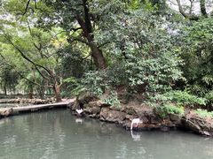 -兰亭风景区