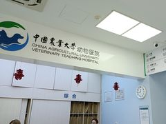 -中国农业大学动物医院