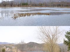 -乌素图国家森林公园
