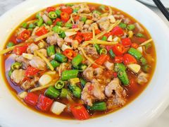-陈麻婆豆腐总店