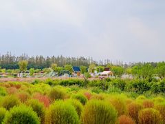 -嘉北郊野公园