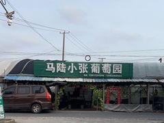 -马陆小张葡萄园农家乐