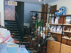 -宠颐生斯嘉宠物医院·急重症·心内科(谷阳北路分院)