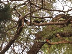 -北陵公园