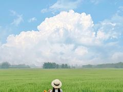 -中国天府农业博览园