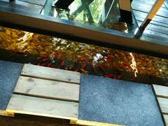 -颐和•海鲜砂锅粥•啫啫煲(奥林匹克广场店)