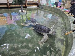 -嘉兴海底世界