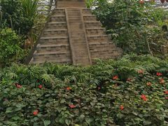 -南宫五洲植物乐园