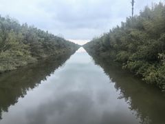 -黄海国家森林公园