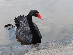 -湖泉水云间餐厅·弥勒地道菜(B座店)