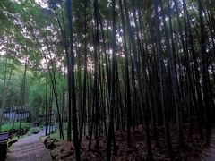 -杭州黄龙洞