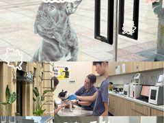 -佩兹宠物医院肿瘤专科·眼科·牙科(黄浦店)