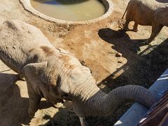 -西霞口神雕山野生动物世界