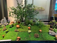 -外滩·云南人家(昆明旗舰店)