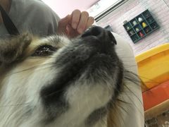 -馆陶手作坊DIY·陶艺·石塑粘土·石膏娃娃(车陂店)