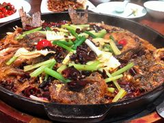 -老板恋上鱼(振华商厦店)