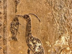 -徐州汉画像石艺术馆