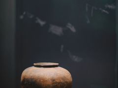 -良渚博物院