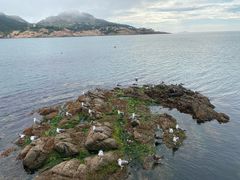 -那香海钻石沙滩浴场