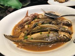 红烧鱼-铂尔台州菜(铂尔国际店)