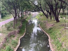 -北坞公园
