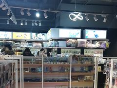 -IPSTAR|潮玩星球(新百店)