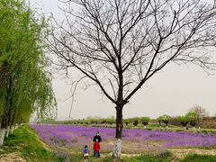 -汉长安城未央宫国家考古遗址公园