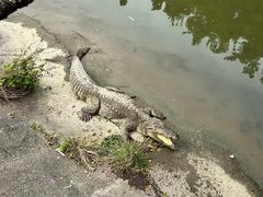 -广州长隆飞鸟乐园