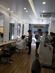 -YESIDO椰岛造型