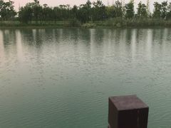 -南湖湿地公园