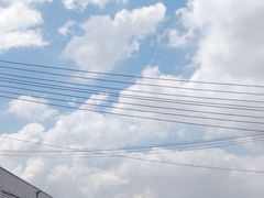 -树木岭集贸市场(劳动东路)