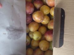 -意大利农场度假村