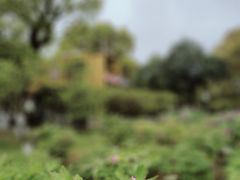 -尚湖风景区