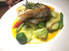 -more than meow吴止猫主题餐厅(承德 中船汇店)