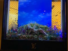 -路易·威登(香榭丽舍大道店)