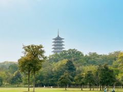 -宜兴龙背山森林公园