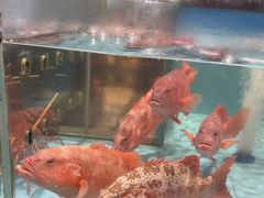 -阿伟海鲜楼·福建菜(延寿店)