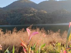 -广州市石门国家森林公园