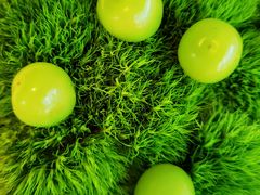 -会仙楼(金融街店)