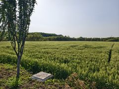 -嘉北郊野公园