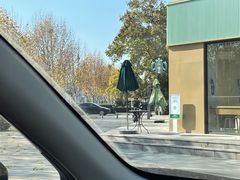 -马黑哥椒麻鸡(清江山水店)