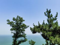 -蓬莱阁景区