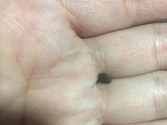 -书亦烧仙草(长沙医学院店)