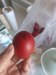 -贝美月子中心(海璟店)