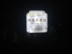 -达蓬山温泉