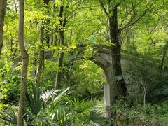 -青龙山国家森林公园